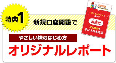 キャンペーンコードの入力でもらえるオリジナルレポート