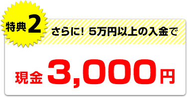 キャンペーンコードの入力で現金がもらえる