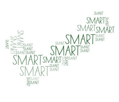 smart