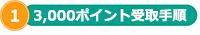 ＜3,000ポイント獲得する手順